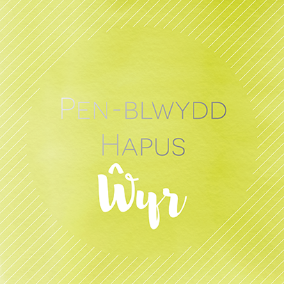 Welsh birthday card 'Pen-blwydd hapus Ŵyr' - Draenog