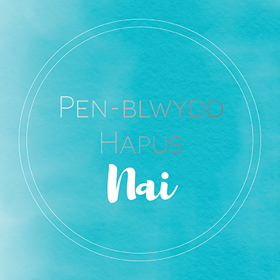 Welsh birthday card 'Pen-blwydd hapus Nai' - Draenog