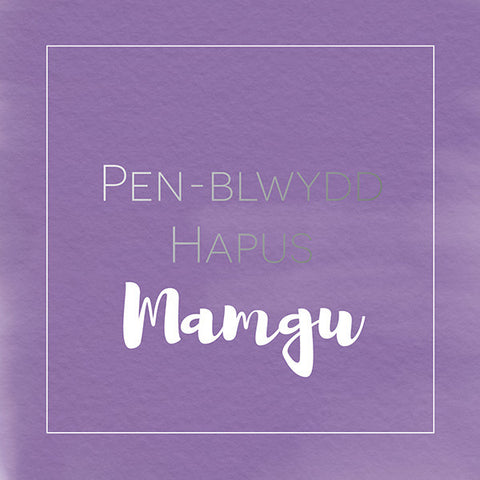 Welsh birthday card 'Pen-blwydd hapus Mamgu' - Draenog