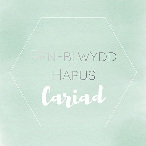 Welsh birthday card 'Pen-blwydd hapus Cariad' - Draenog