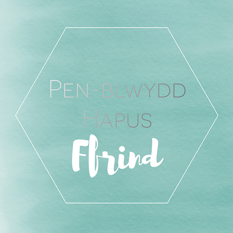 Welsh birthday card 'Pen-blwydd hapus Ffrind' - Draenog