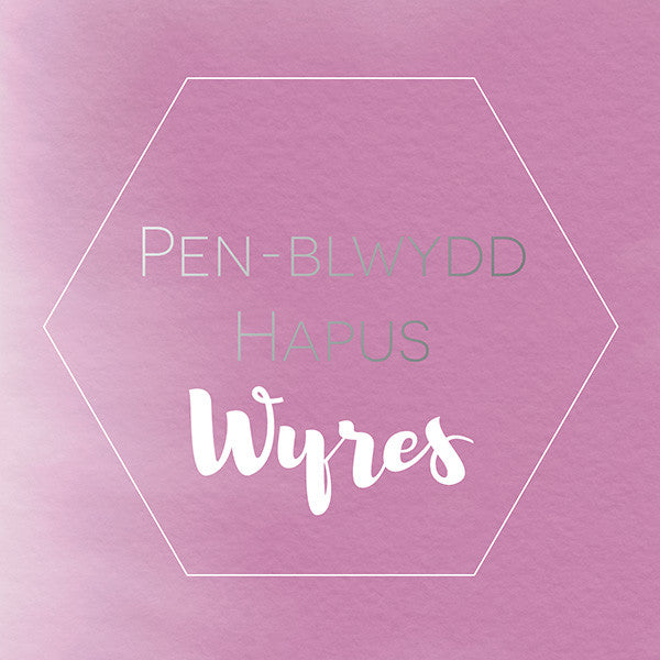 Welsh birthday card 'Pen-blwydd hapus Wyres' - Draenog