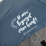Welsh Umbrella - O ma' bywyd mor braf!