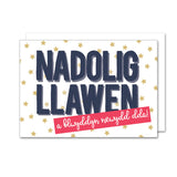 Cerdyn Nadolig Llawen / Welsh Christmas card - Draenog