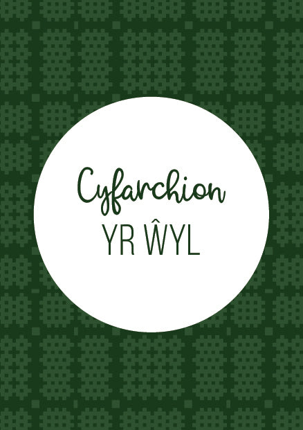 Cerdyn Nadolig 'Cyfarchion yr Ŵyl' / Welsh Christmas card - Welsh tapestry green