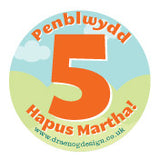 Personalised birthday badge 'Penblwydd Hapus!' Age - Draenog - 1