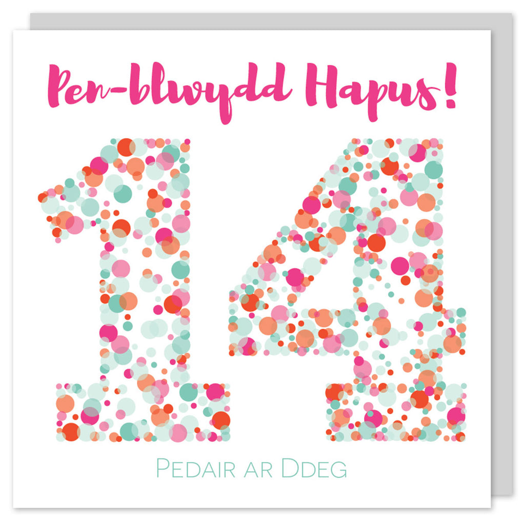 Welsh birthday card fourteen 'Pen-blwydd hapus 14 Pedair ar ddeg' Cerdyn Cymraeg - Draenog