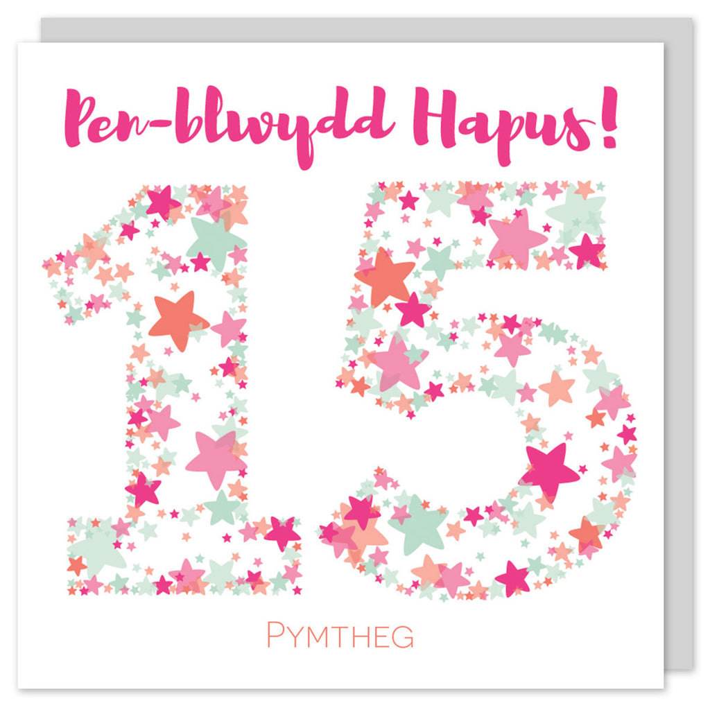 Welsh birthday card fifteen 'Pen-blwydd hapus 15 Pymtheg' Cerdyn Cymraeg - Draenog