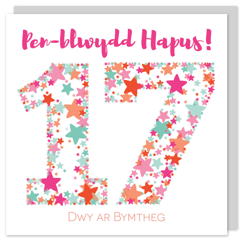 Welsh birthday card seventeen 'Pen-blwydd hapus 17 Dwy ar bymtheg' Cerdyn Cymraeg - Draenog