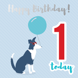 Happy birthday age 1 sheepdog silver foil card - Draenog