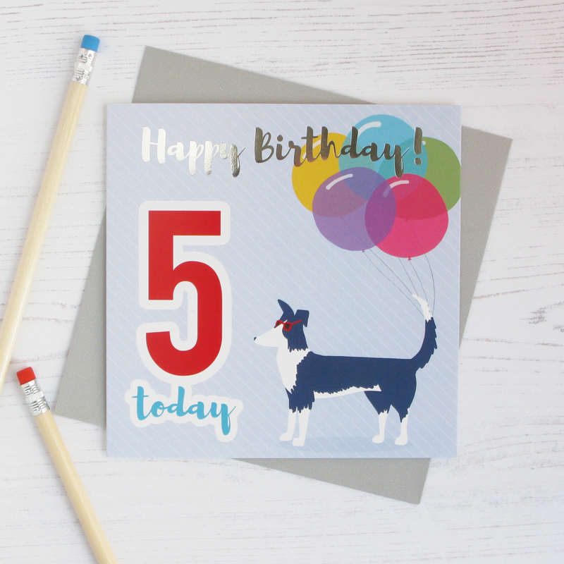 Happy birthday age 5 sheepdog silver foil card - Draenog