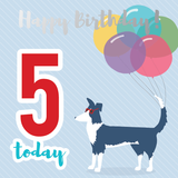 Happy birthday age 5 sheepdog silver foil card - Draenog