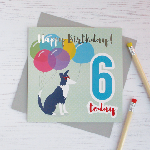 Happy birthday age 6 sheepdog silver foil card - Draenog