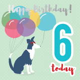 Happy birthday age 6 sheepdog silver foil card - Draenog