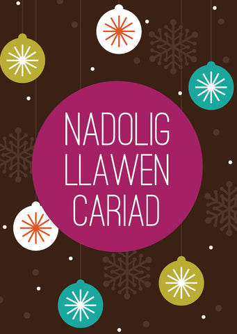 Christmas card 'Nadolig Llawen Cariad' - Draenog