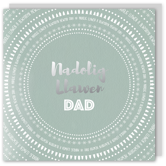 Welsh Christmas card 'Nadolig Llawen Dad' cerdyn Cymraeg – Draenog