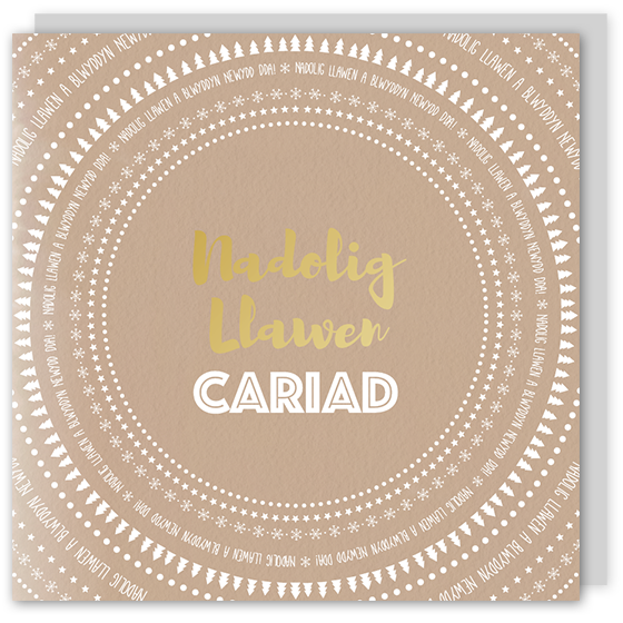 Welsh Christmas card 'Nadolig Llawen Cariad' cerdyn Cymraeg – Draenog