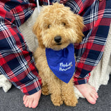 Nadolig Pawen Welsh Christmas Dog Bandana