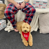 Nadolig Pawen Welsh Christmas Dog Bandana