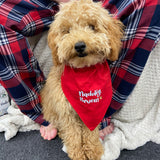 Nadolig Pawen Welsh Christmas Dog Bandana