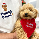 Nadolig Pawen Welsh Christmas Dog Bandana