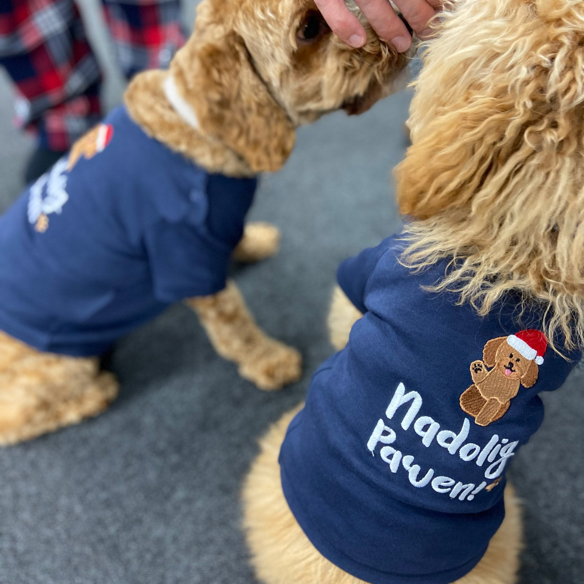 Nadolig Pawen Welsh Christmas - T-shirt