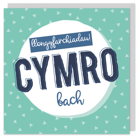Cerdyn Cymro bach / Welsh Baby boy card